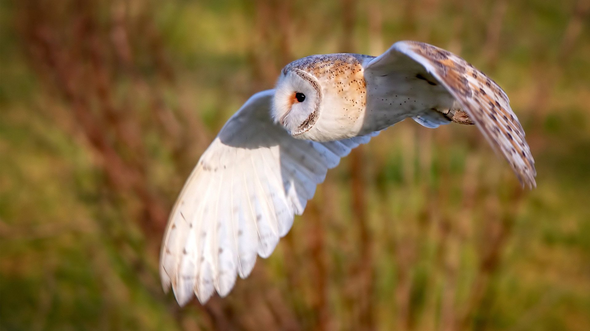 风暴眼中心的魔术师，当莱比锡红牛逆转乌拉圭，德布劳内如何改写剧本