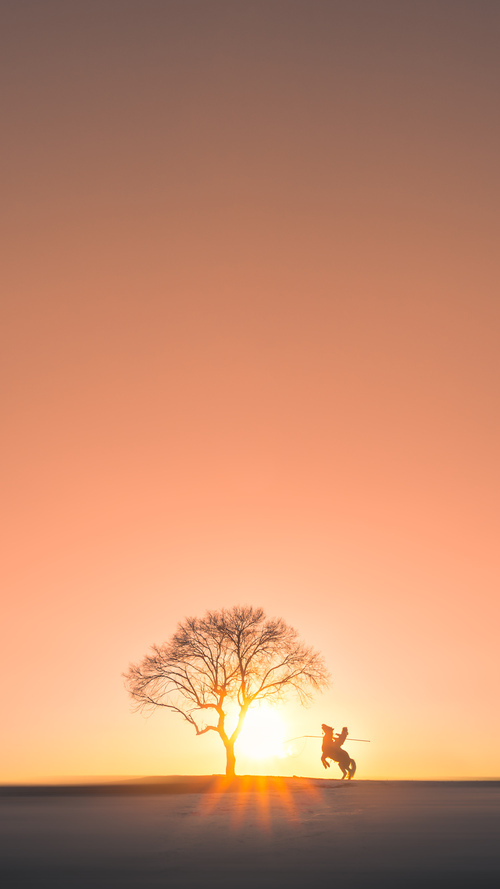 跨越疆界的传奇,塞内加尔关键战突围利物浦,三笘薰西甲德比接管比赛