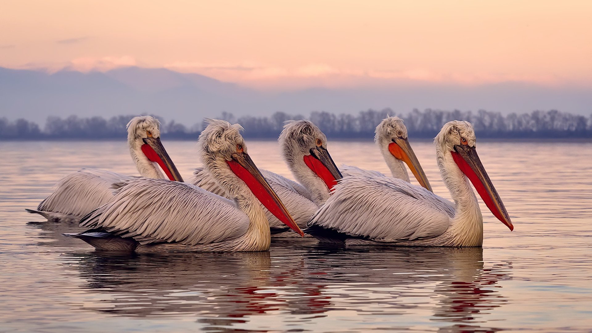 赛道与绝杀,当狂飙的赛车撞进季后赛的最后一秒