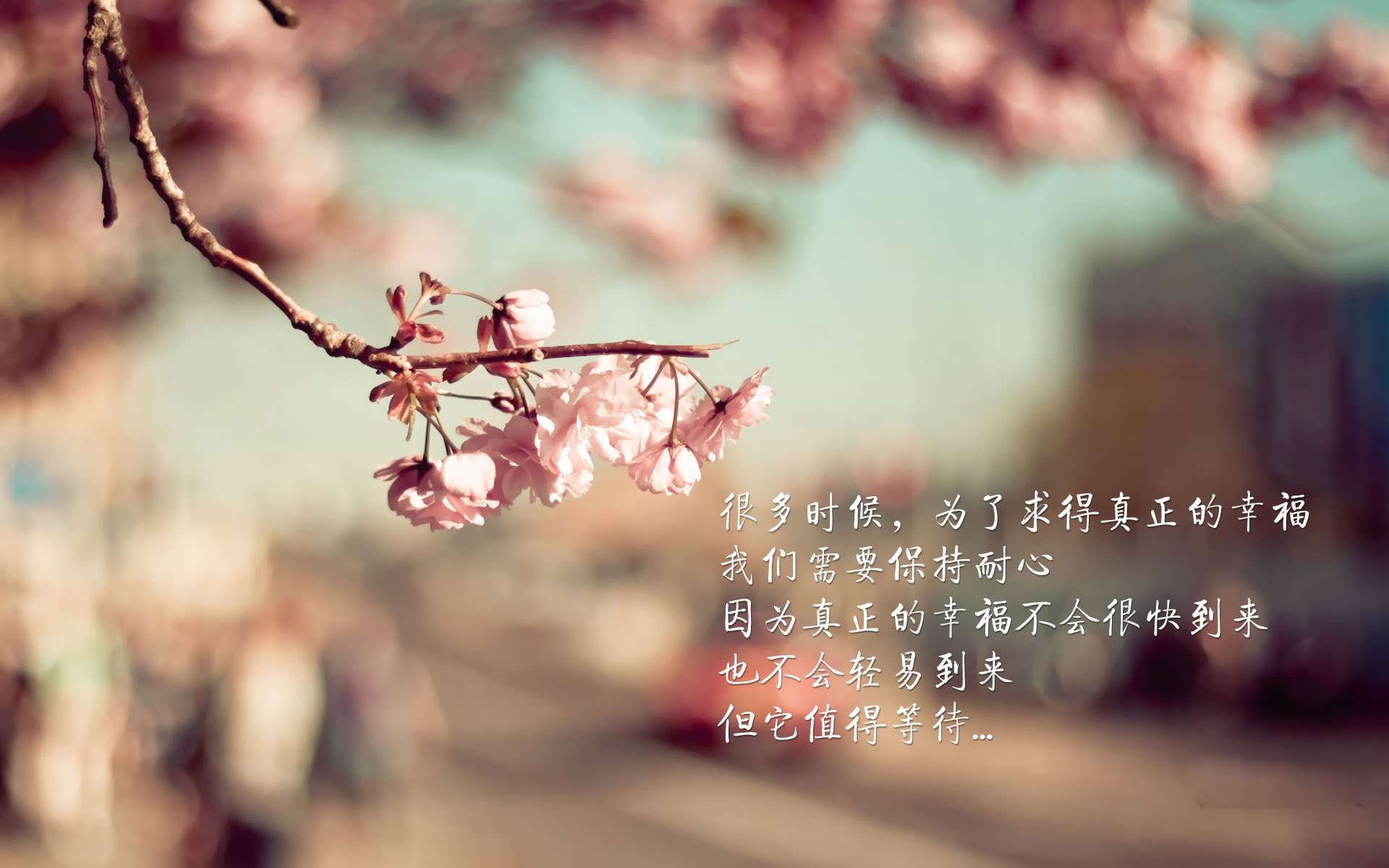 双线狂飙，从苏格兰逆转马赛，到基米希F1争冠，悬念如何在同一夜共生？